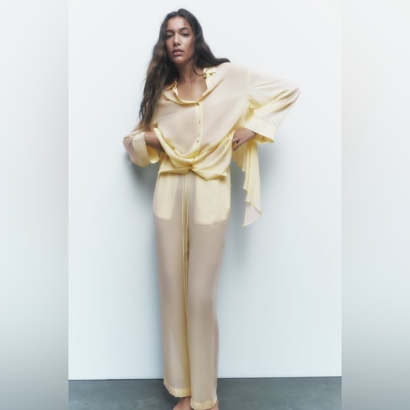 ZARA Sheer Shirt - Picture 6 of 8